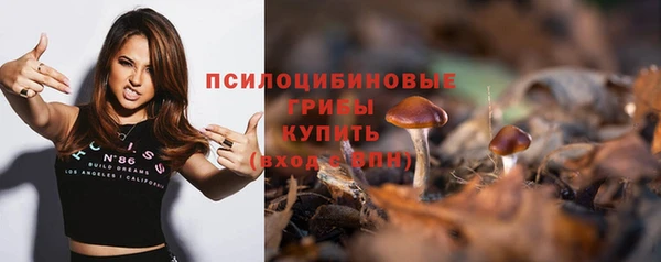 стаф Инсар