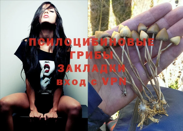 стаф Инсар