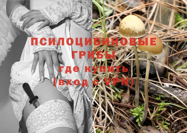 герыч Инта