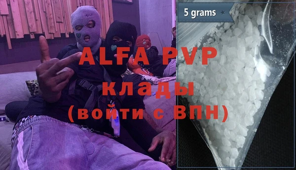 стаф Инсар