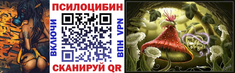 Псилоцибиновые грибы мицелий  Купить где  Александровское 